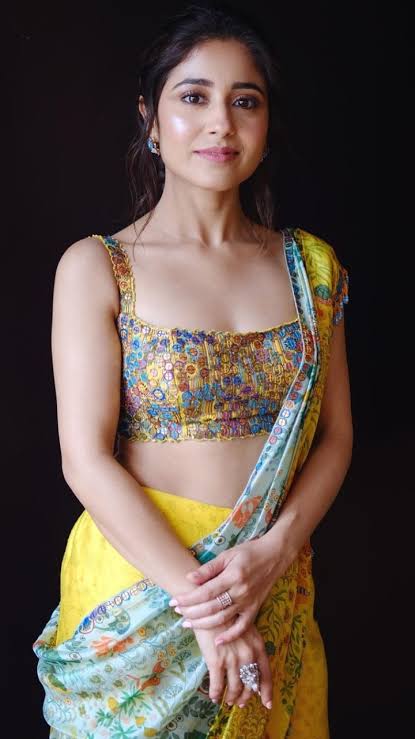 shweta tripathi movies and tv shows